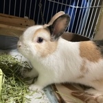 うねうね☆