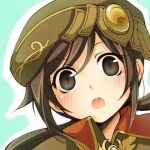 ちわわっしょい