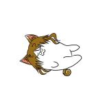 虹-sora-