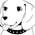 パサパサ犬