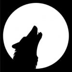 userPhoto