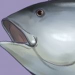山浦環