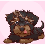 モモちゃんねる
