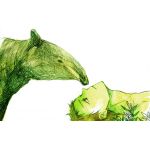 なびすこ