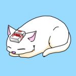 おじゃむ