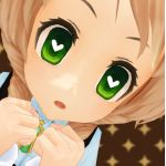 ハチ