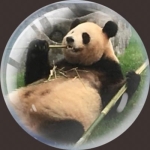 らふー