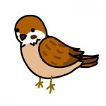 わだいこ(ヘタかぼちゃの人)