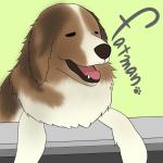 fatman親方