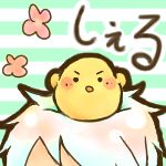 しぇる