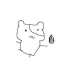 y。