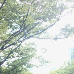 きなと
