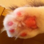 もここ