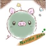 まりも
