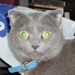 ぷろぐれす