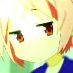 たかなし