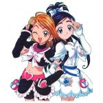 プリけん