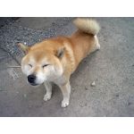 ユーザー画像