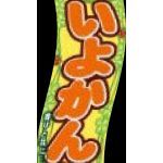 いよかんマツコ（S）