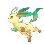 ぽぽちゃん