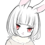 userPhoto