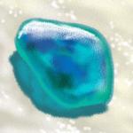 海硝子
