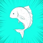 ヒリュウ
