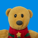 BEAR10591