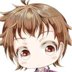 ハルくん(アルヒビ)