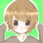 やしのみ