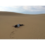 userPhoto