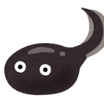 userPhoto