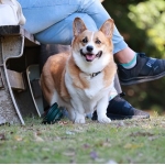 あや