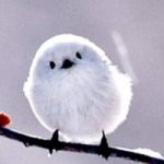 くるくる