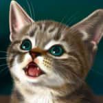 カモンエギ
