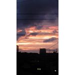 坂城潤