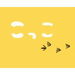 こっこ