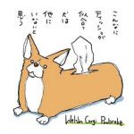 ゆずちん