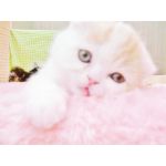 外に出て人と楽しく生きる