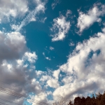 userPhoto