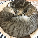 ユーザー画像