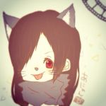 猫汰。