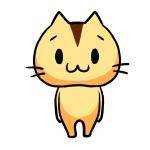 ミナルディ