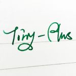 TINY-PLUS