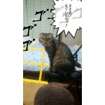 すいっち