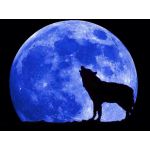 Lone Wolves