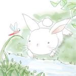 もんぷち