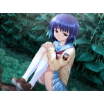 にんげんルート