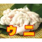 userPhoto