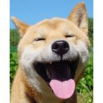 ひゃくまる